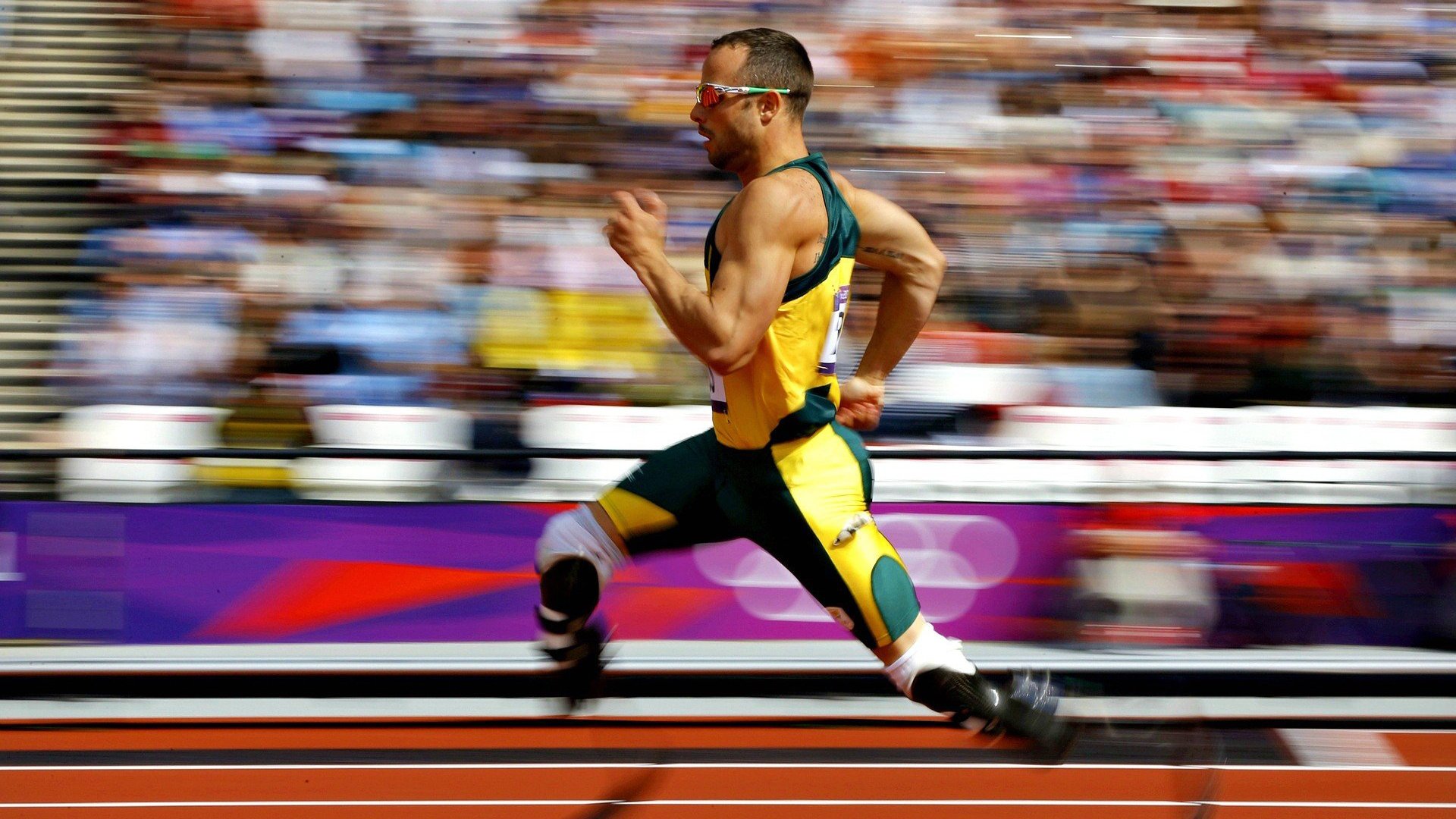 体育新闻中心上线体育短视频内容服务专区,体育新闻体育视频央视网